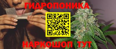 индика Малгобек