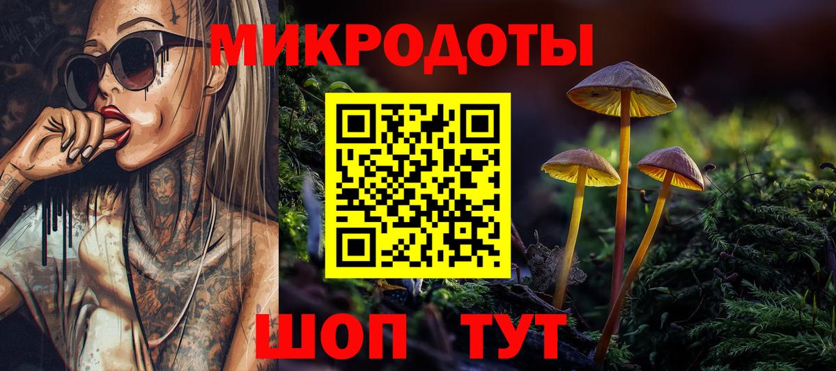 Псилоцибиновые грибы Cubensis Тихорецк