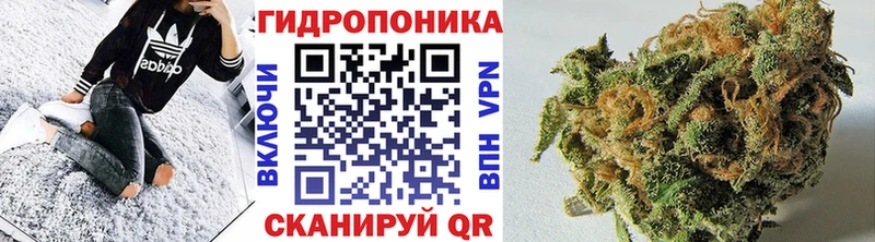 дарк нет клад  Тихорецк  Бошки марихуана SATIVA & INDICA 