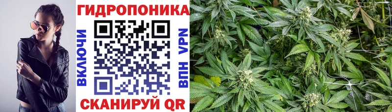Бошки Шишки марихуана Тихорецк